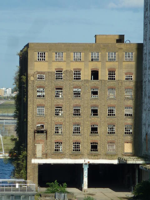 P1160509