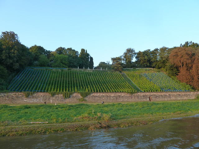 P1180867