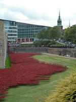 24.08.14 - Poppies Revisited & Airport